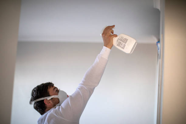Best Kitchen Mold Remediation in Wewa, OK
